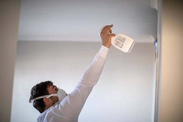 Best Preventive Mold Services in Upland, CA