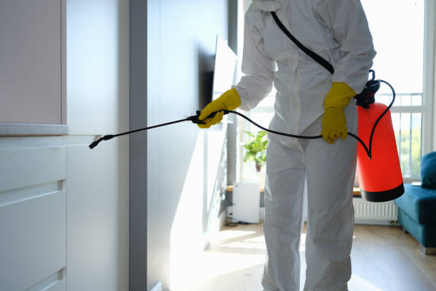 Best Kitchen Mold Remediation in Upland, CA